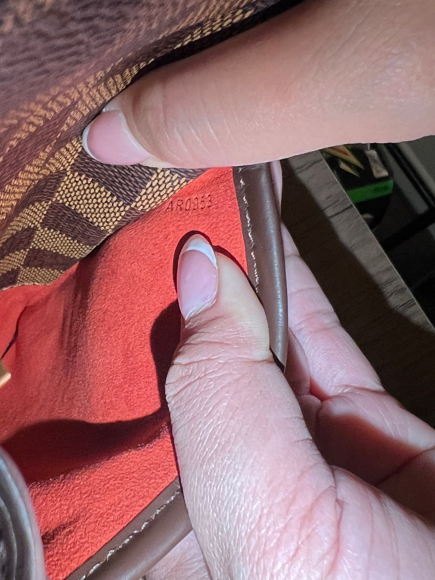 LV Sarria Bag