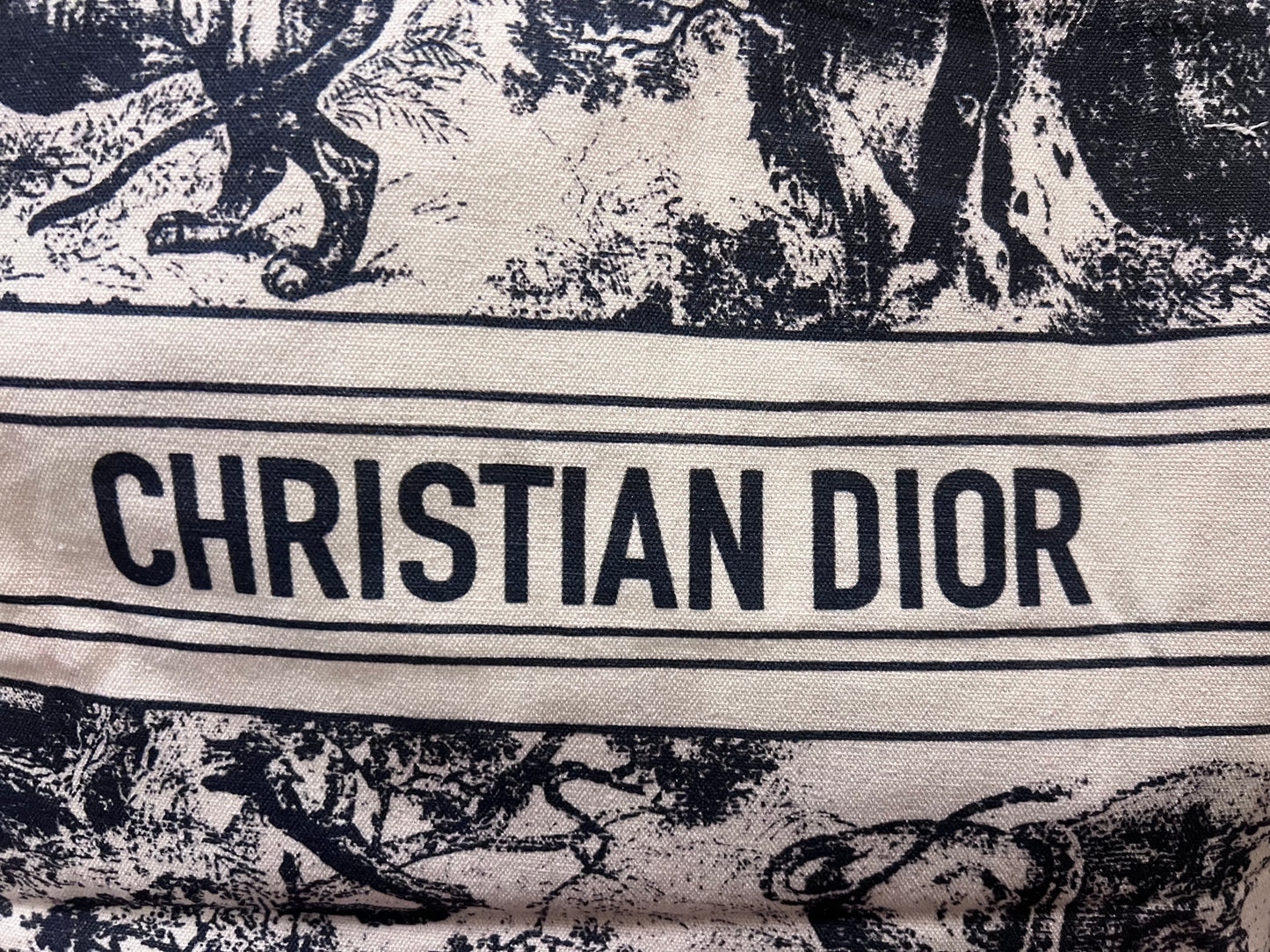 Christian Dior- Shopping Tote Bag!