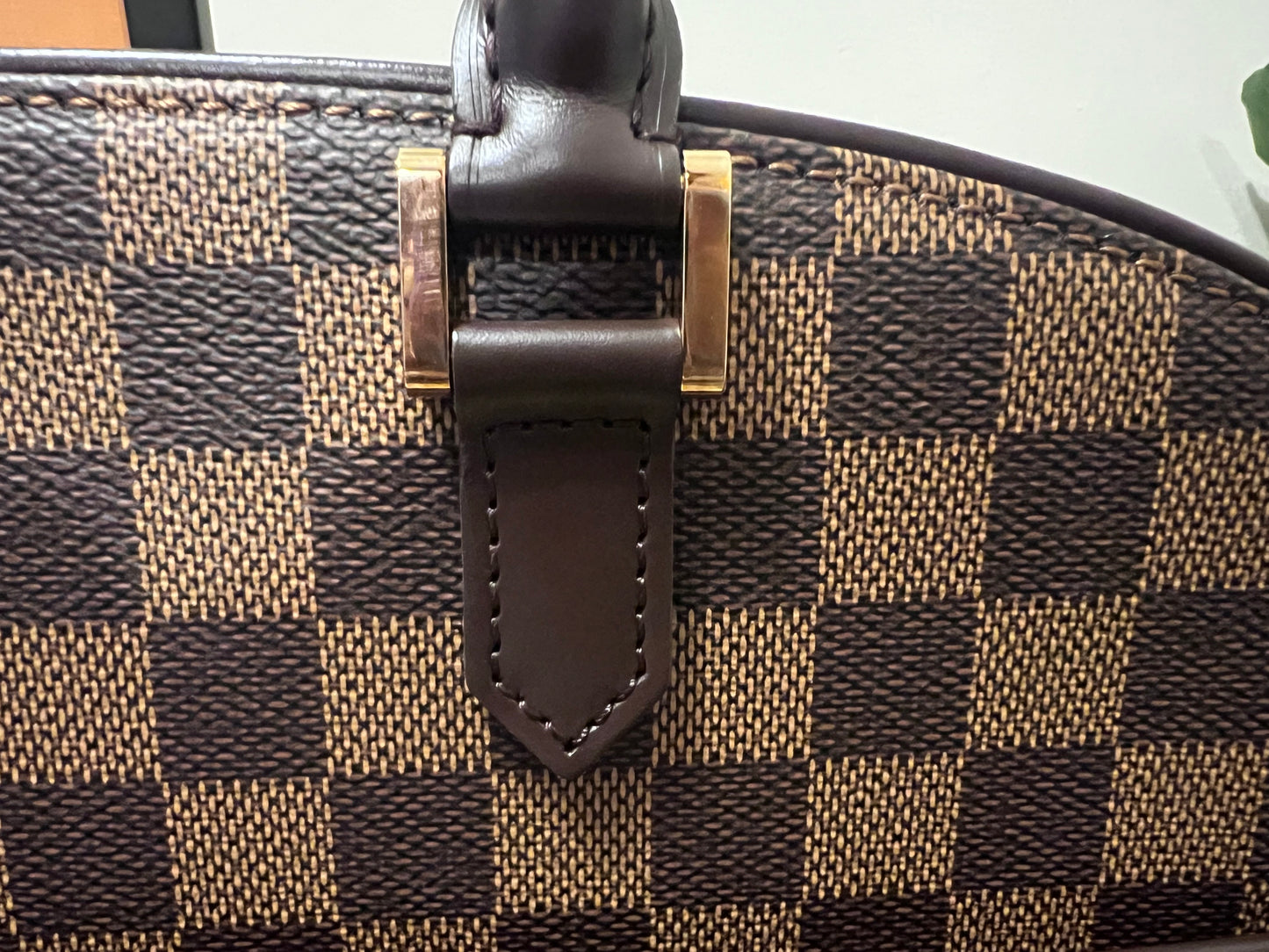 LV Sarria Bag